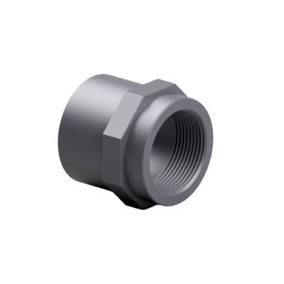 Picture of 2" PVC socket threaded/threaded