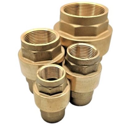 Picture of Spring Check Non-Return Valve