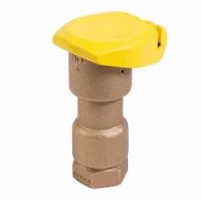 Picture of Rain Bird 1" brass Quick Coupling Valve with thermoplastic cover